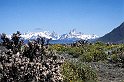 5 fitz roy